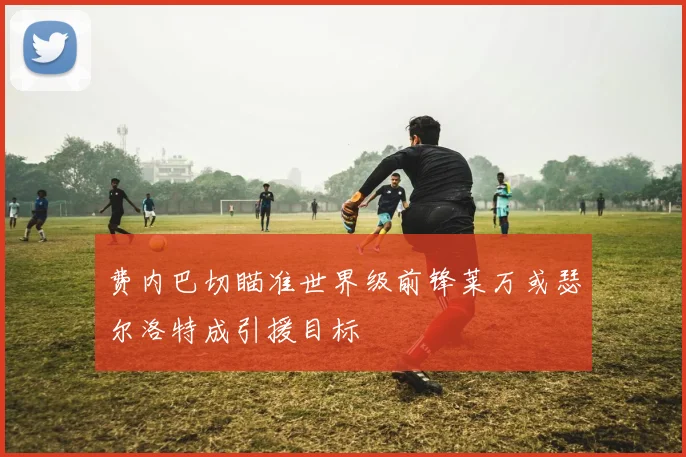 费内巴切瞄准世界级前锋莱万或瑟尔洛特成引援目标